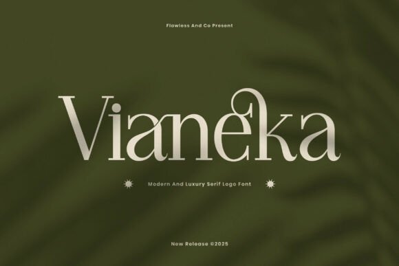 Choosing Vianeka for a Modern Web Design Project