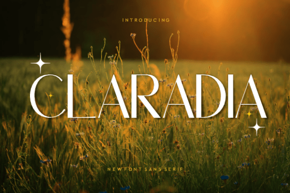 Claradia: A Modern Typeface for Handmade Creations