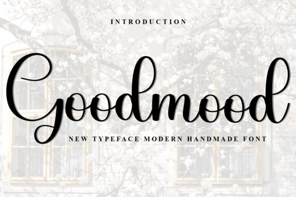 Goodmood: A Warm Font for Branding That Feels Personal