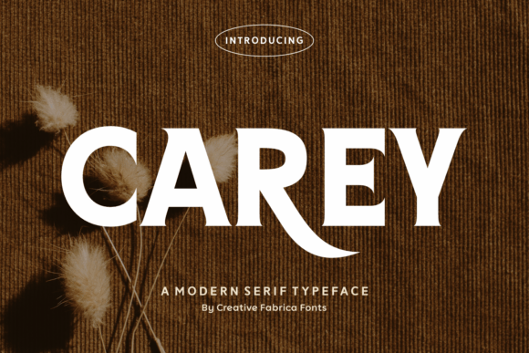 How Carey Font Transformed My Brand's Visual Identity